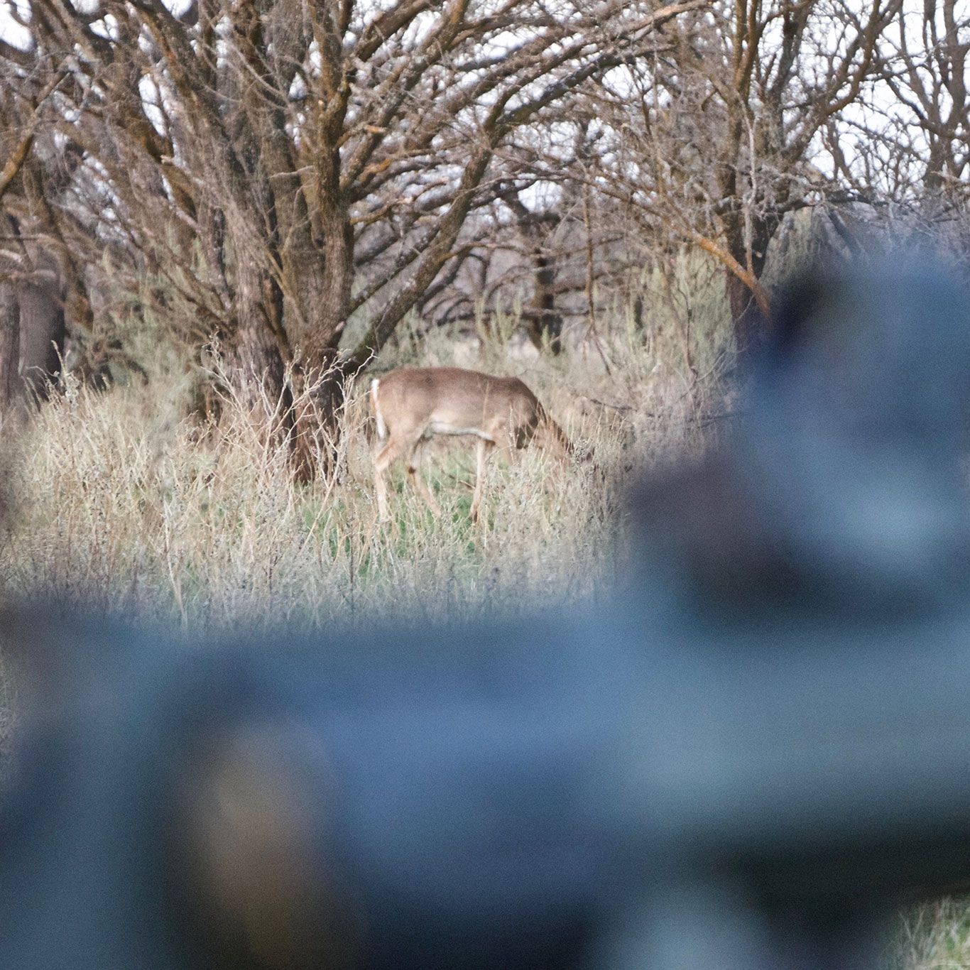 Taurus Journal Planning the Fall Hunt - Larry Weishuhn