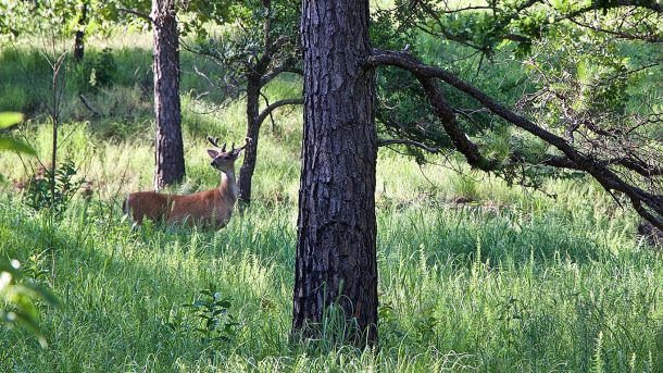 Planning the Fall Hunt