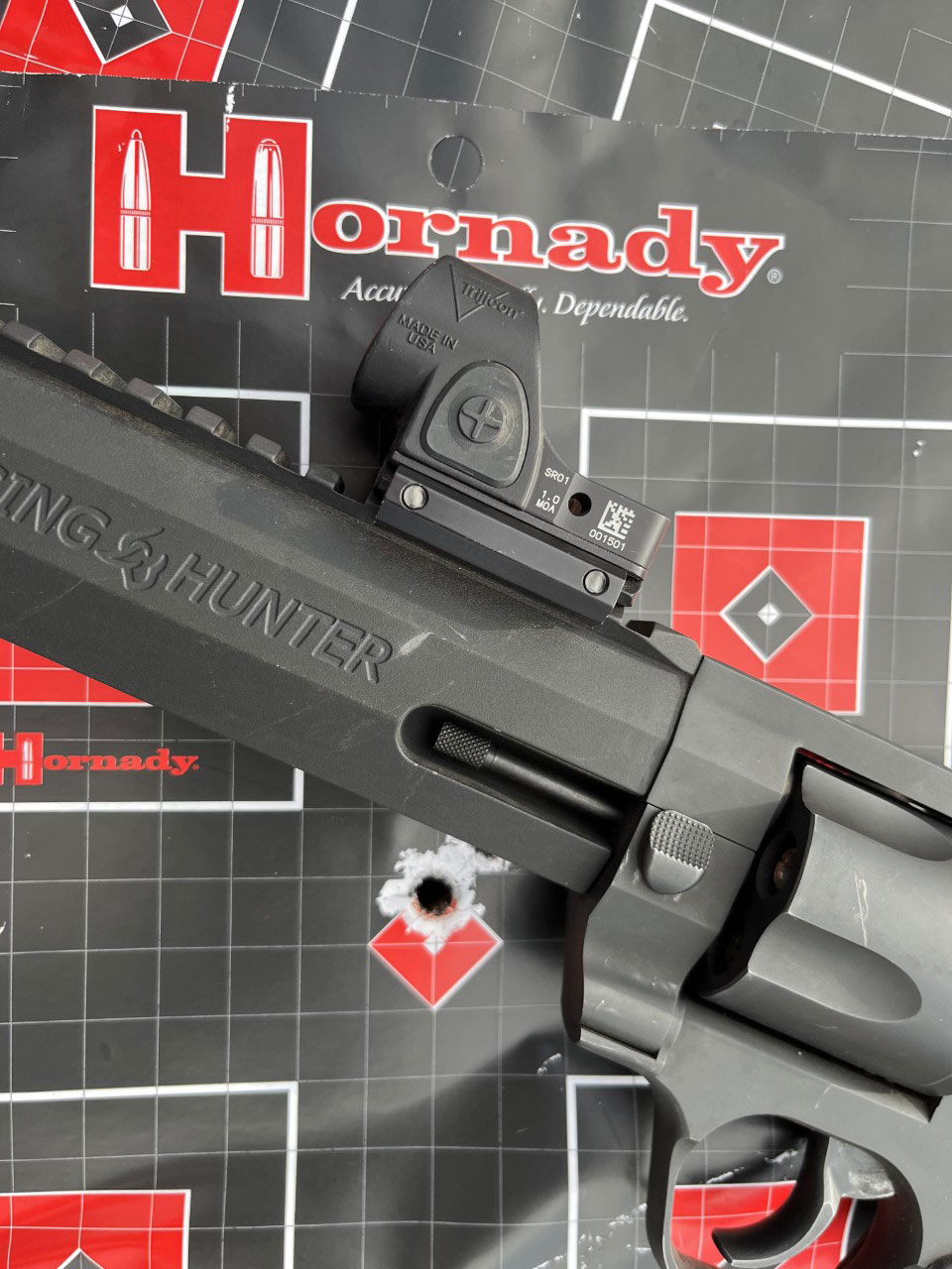 taurus_raging_Hunter_454_casull-My-Casull-Larry_Weishuhn