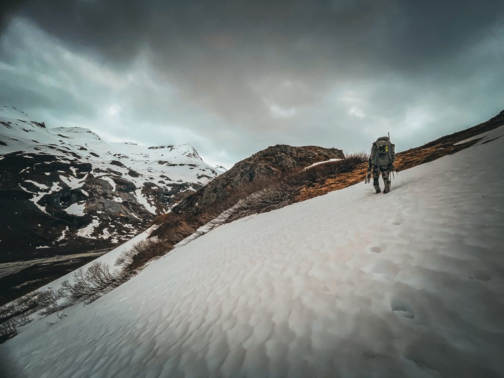 Hiking in to take a shot on the bear