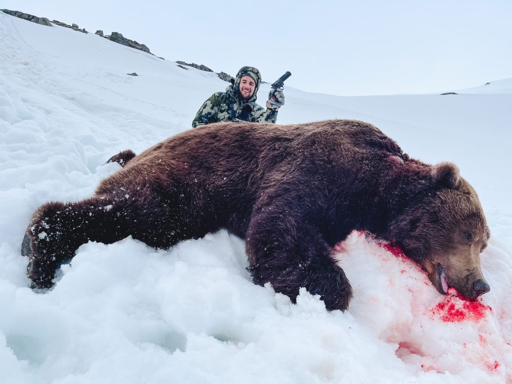 A monster brown bear
